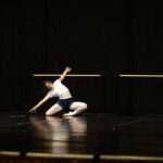 2025 Dansylvania Summer Workshop