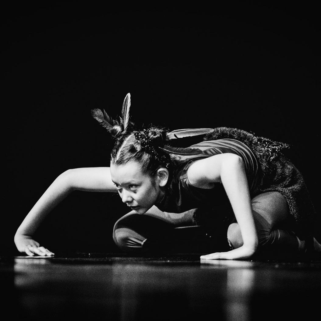 Scoala de dans Dansylvania Sibiu